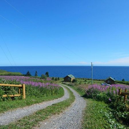 Les Chalets Brise-De-Mer Sainte-Therese-de-Gaspe ภายนอก รูปภาพ