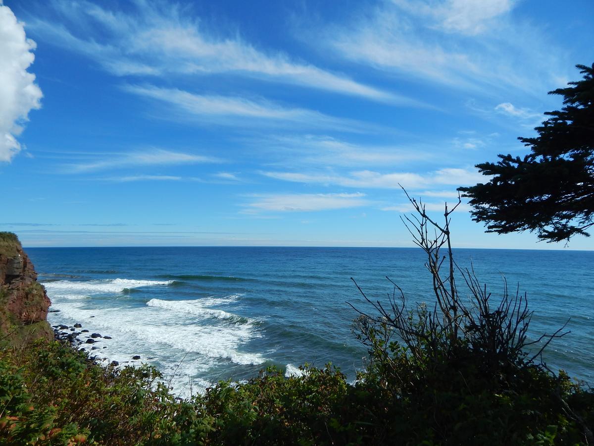 Les Chalets Brise-De-Mer Sainte-Therese-de-Gaspe ภายนอก รูปภาพ